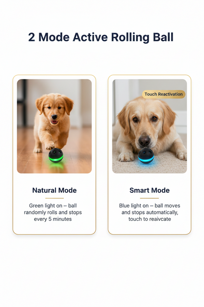 PawPlanet™ AutoBall Pro